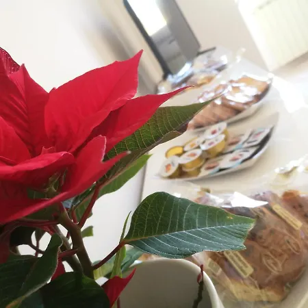 Prima Stella Bed & Breakfast Messina